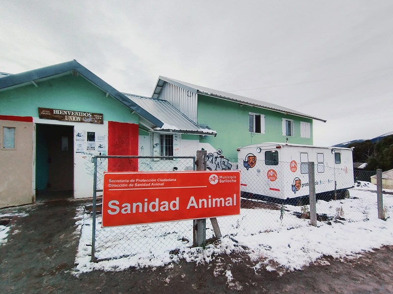 Comenzó una nueva campaña de castraciones masivas gratuitas en Bariloche