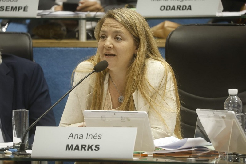 Ana Marks presentó tres proyectos para garantizar un sistema justo y efectivo de cuidado y protección de las infancias en Río Negro