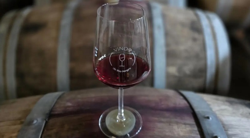 Pinot Noir: Río Negro celebra un varietal que impulsa desarrollo y economía