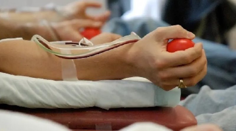 ¿Sabías que podés salvar 4 vidas? Río Negro celebra el Día del Donante