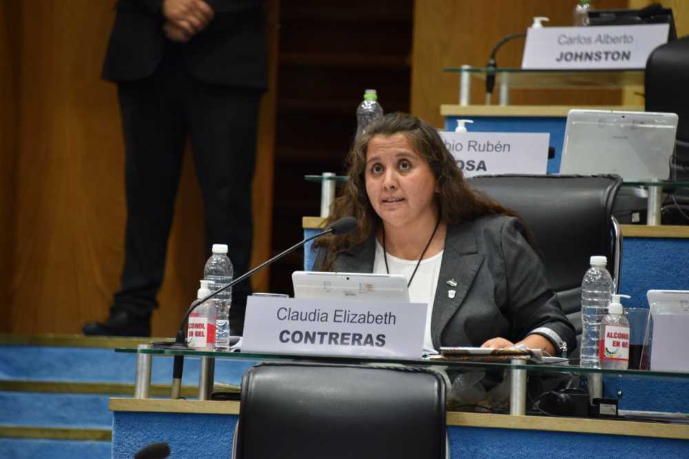La legisladora Contreras pide a Nación una serie de gestiones para fortalecer la actividad cultural en Río Negro