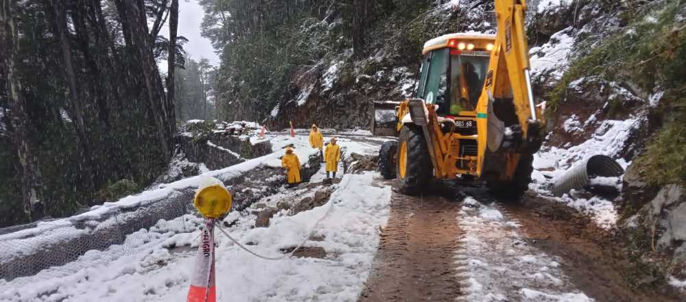 Apertura parcial del camino a Cerro Tronador 