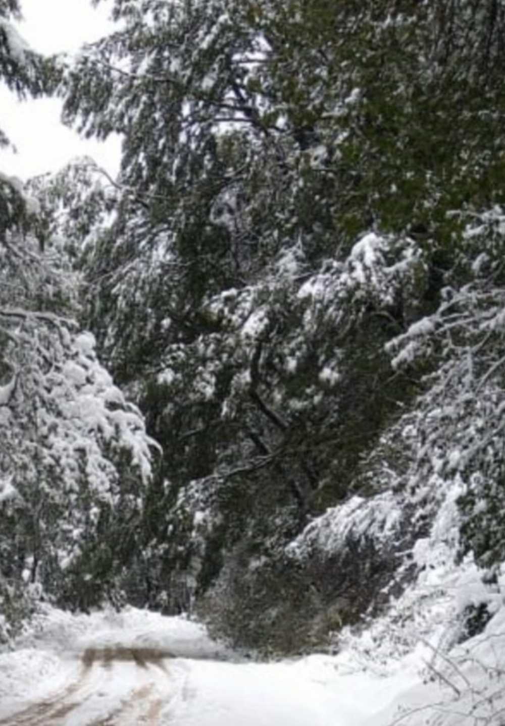 Cierre preventivo de Caminos dentro del Parque Nacional Nahuel Huapi