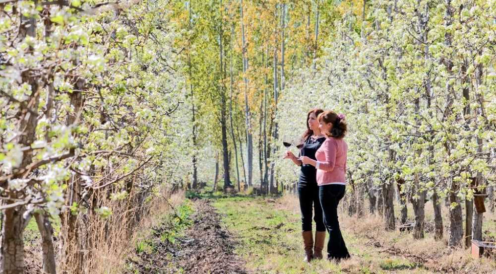 Río Negro te invita a sentir lo épico de la primavera en cada destino