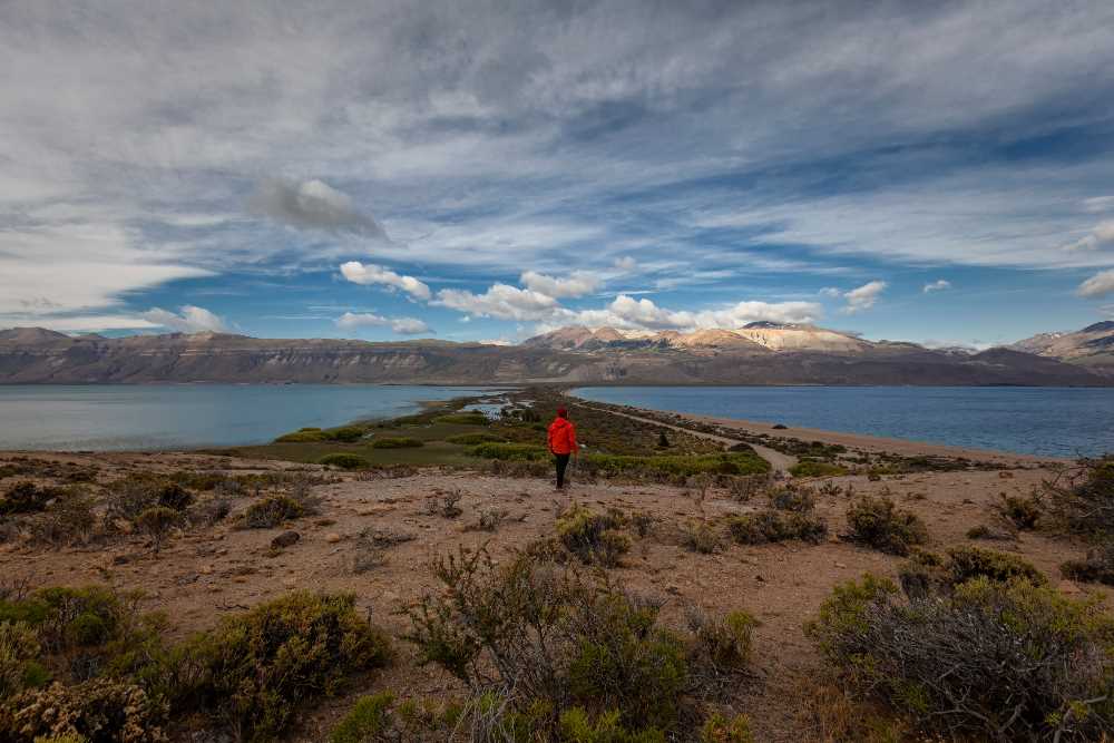 Patagonia planifica misión comercial a Estados Unidos