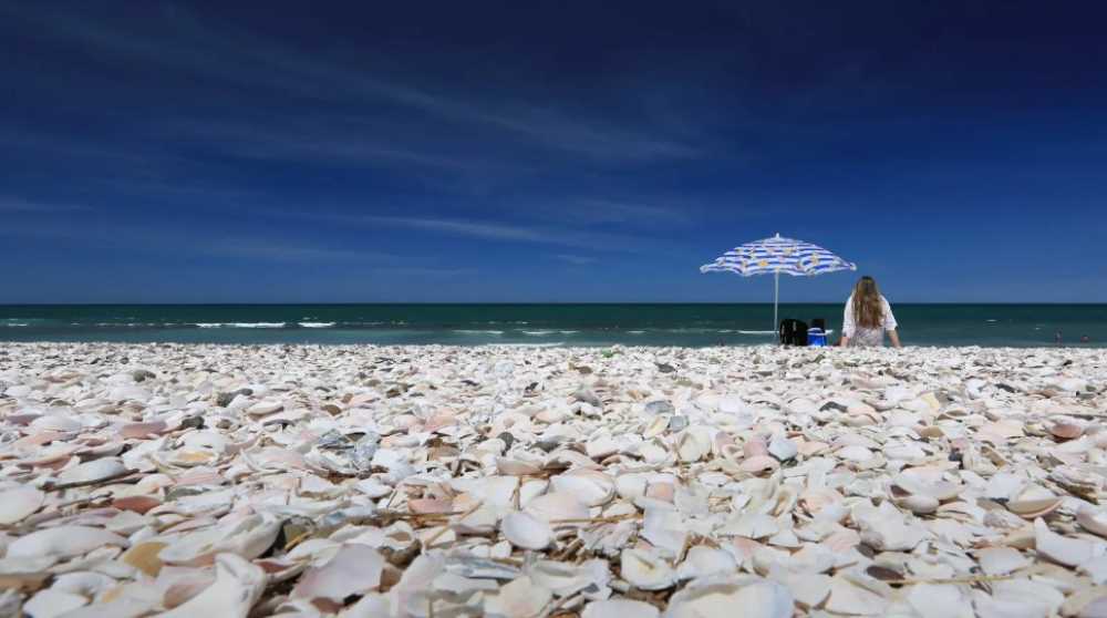Cuatro playas rionegrinas entre las 10 mejores del país