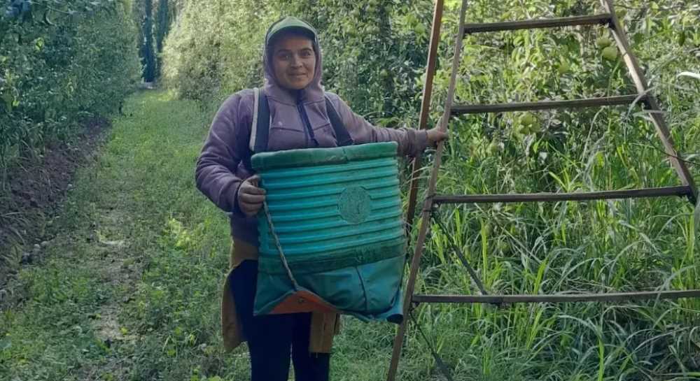 Trabajadores rurales aún pueden inscribirse al programa Intercosecha