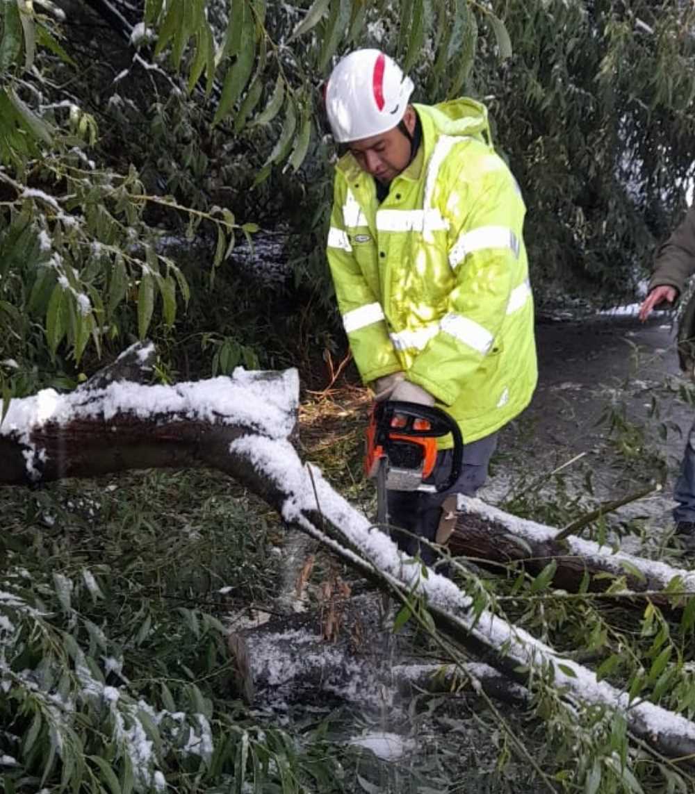 Intervienen en un arbol caído en la rotonda Amancay