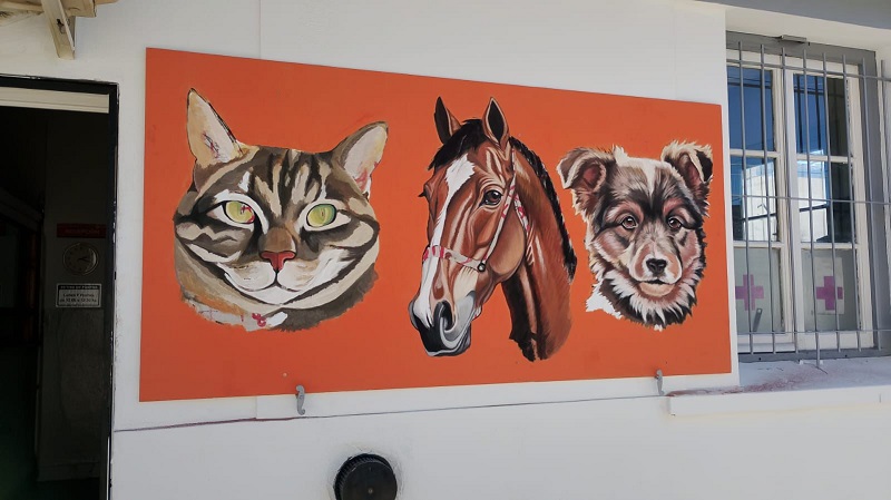 La Semana del Bienestar Animal fue un éxito.