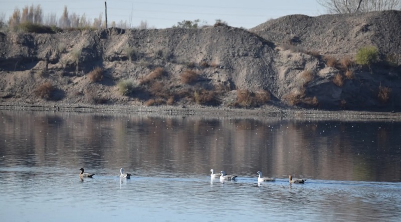 Río Negro: conservación de humedales para combatir desertificación y sequía