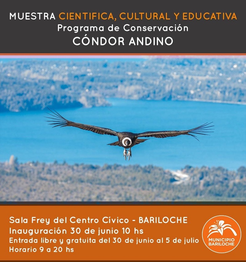 Muestra Científica, Cultural y Educativa Cóndor Andino