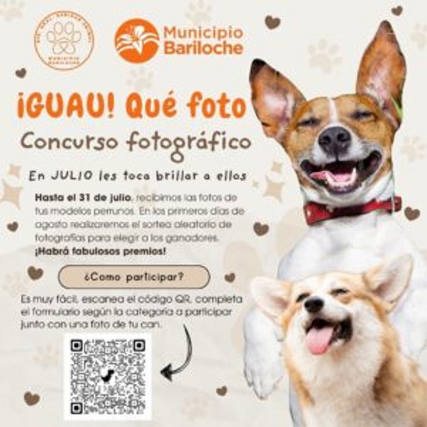 En julio se viene el primer concurso fotográfico perruno