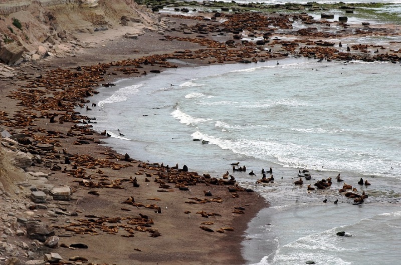 Invierno a orillas del mar: recorré el Camino de la Costa