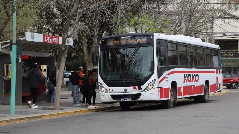 Subsidio al transporte: Nación retiene fondos que deben llegar a Río Negro