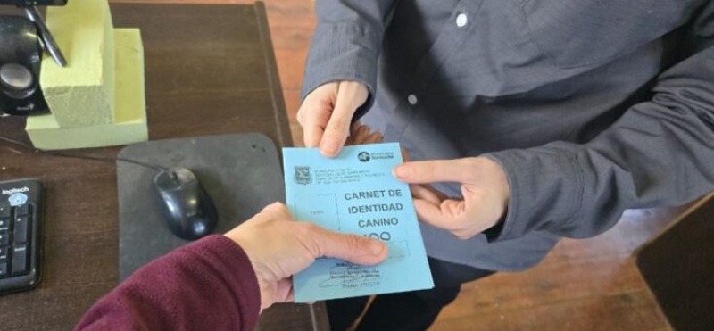 Patentamiento Canino Ahora Más Fácil y Cercano en Bariloche