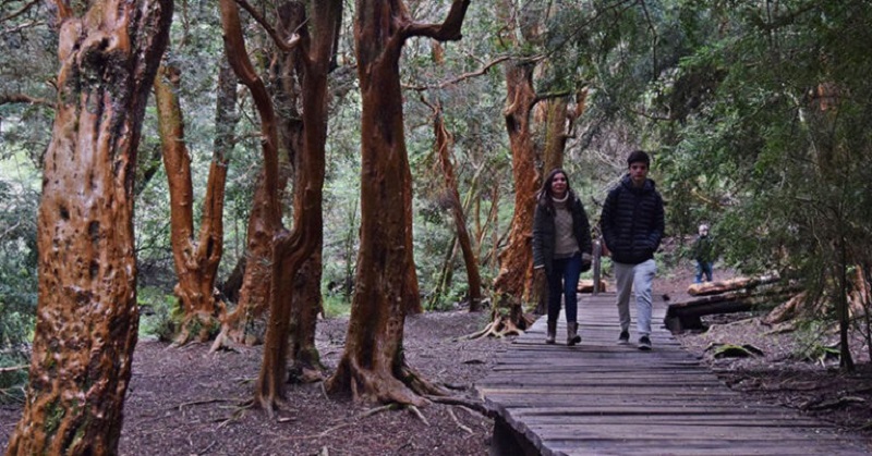 Recomendaciones para disfrutar de las caminatas de invierno en Bariloche de forma segura