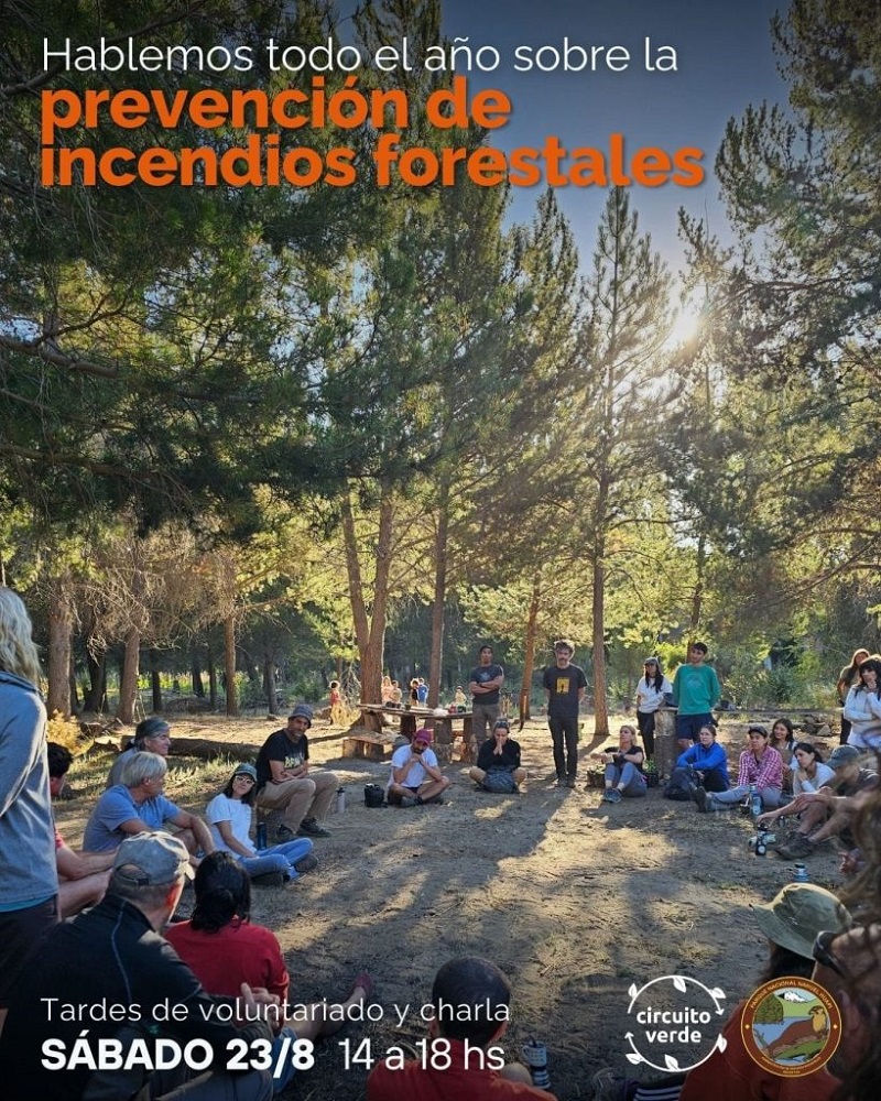 Jornada de Tardes Restaurativas en la Usina de Nativas: para reflexionar sobre la prevención de los incendios forestales.
