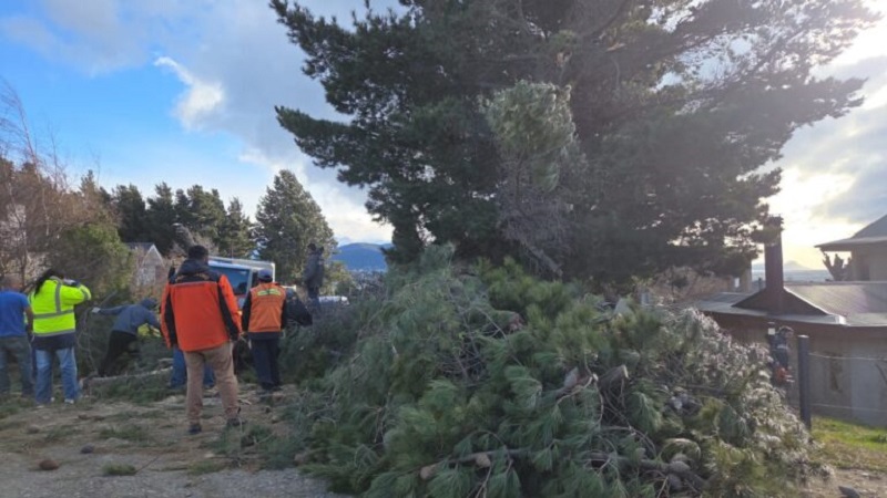 Intenso operativo municipal ante la emergencia por fuertes vientos en Bariloche