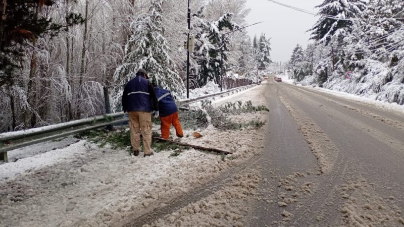 Nevada en Bariloche: intenso trabajo de cuadrillas municipales en las calles de la ciudad