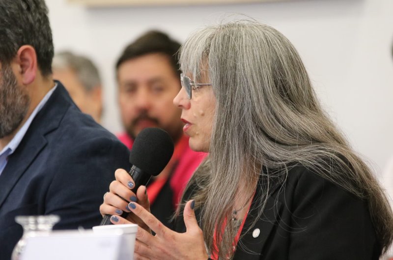 Diputados tratará la ley de emergencia del sistema científico: Adriana Serquis convocó al sector a sumarse a la movilización del miércoles