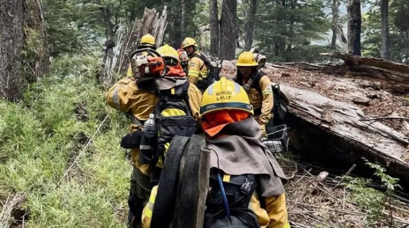 Río Negro actualiza protocolos de respuesta a incendios forestales