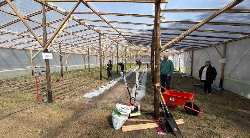 Invernaderos KM 0: programa que acerca alimentos y multiplica oportunidades