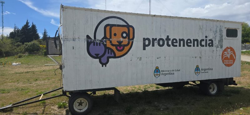 El equipo de Sanidad Animal se divide para ampliar las castraciones gratuitas en los barrios