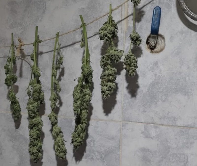 Bariloche: tres allanamientos por amenaza de bomba