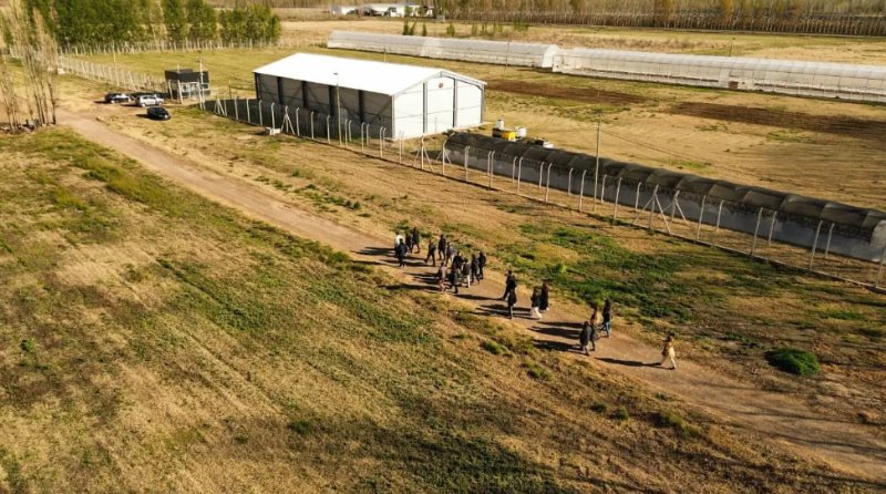 Jóvenes rionegrinos ya pueden postularse al Programa de Formación del CFI